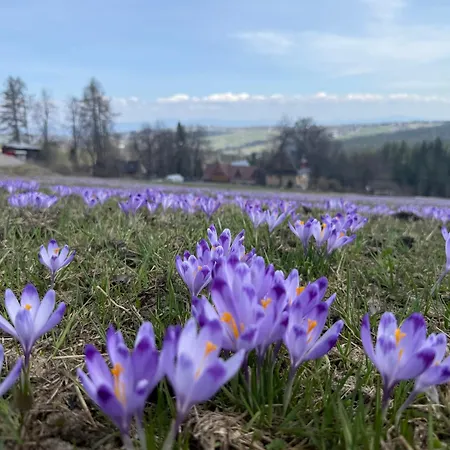 Park 3* Закопане